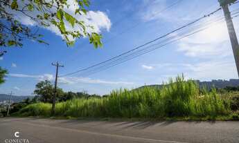 Imagem 4: Terrenos à venda no bairro Vale Esquerdo em Dois Irmãos/RS