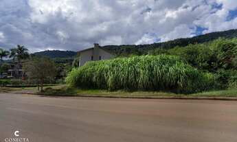 Imagem 2: Terreno à venda na Linha Gorgen em Morro Reuter/RS