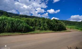 Imagem: Terreno à venda na Linha Gorgen em Morro