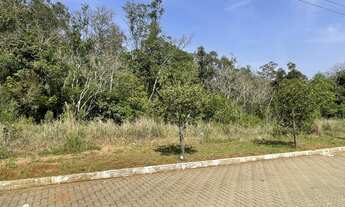 Imagem 3: Terreno à venda no bairro 7 de Setembro em Dois Irmãos/RS