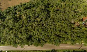 Imagem: Terreno à venda em Mato Comprido em Morro