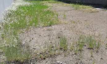 Imagem 4: Terreno à venda no centro de Dois Irmãos/RS