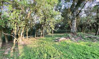 Imagem 7: Terreno à venda no bairro Travessão em Dois Irmãos/RS