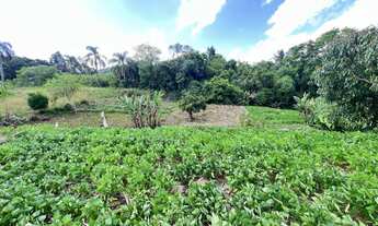 Imagem 4: Terreno à venda no bairro Floresta em Dois Irmãos/RS