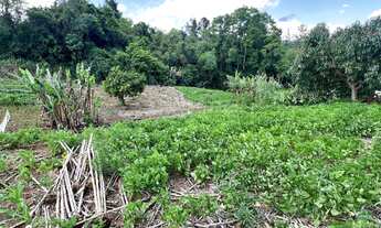 Imagem 5: Terreno à venda no bairro Floresta em Dois Irmãos/RS