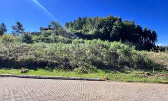 Imagem: Terreno à venda no bairro Planalto em Morro