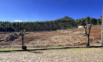 Imagem: Terreno à venda no bairro Planalto em Morro