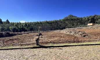 Imagem: Terreno à venda no bairro Planalto em Morro