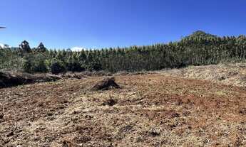Imagem 2: Terreno à venda no bairro Planalto em Morro Reuter/RS