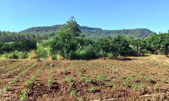 Imagem 2: Terreno à venda na localidade de Joaneta em Picada Café/RS