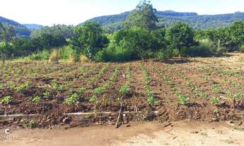 Imagem 3: Terreno à venda na localidade de Joaneta em Picada Café/RS