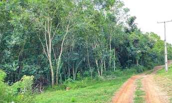 Imagem 3: Chácara à venda no Travessão em Dois Irmãos