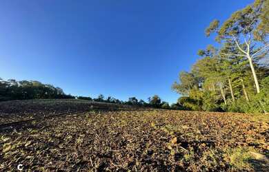 Imagem 7: Áreas de terra á venda no bairro Travessão em Dois Irmãos/RS