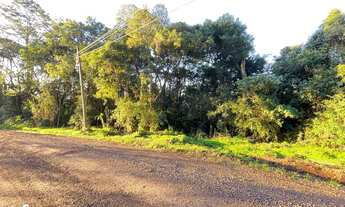 Imagem 3: Área de terras à venda no bairro Travessão em Dois Irmãos