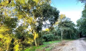 Imagem: Área de terras à venda no bairro Travessão