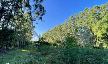 Imagem 5: Chácara á venda em Padre Eterno Ilges - Morro Reuter