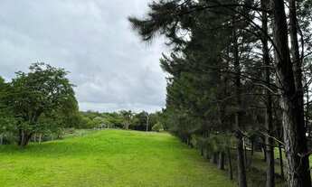 Imagem 6: Chácara à venda em Padre Eterno Ilges em Santa Maria do Herval/RS