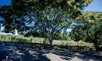 Imagem 1: Terreno à venda no bairro União em Dois Irmãos/RS