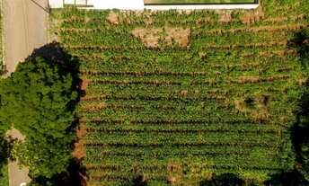 Imagem 4: Terreno à venda no bairro União em Dois Irmãos/RS