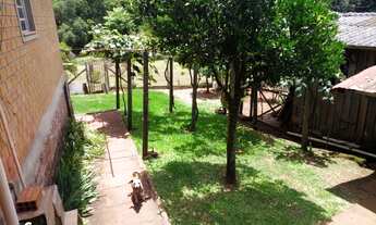 Imagem 4: Chácara no bairro Travessão em Dois Irmãos