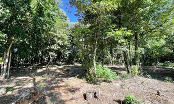 Imagem 7: Terreno à venda em Morro Reuter/RS