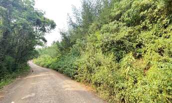 Imagem: Chácara localizada em Padre Eterno Ilges