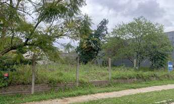 Imagem 3: Terreno plano , excelente para construçào para comércio ou residencial