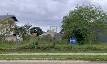 Imagem 5: Terreno plano , excelente para construçào para comércio ou residencial