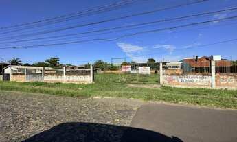 Imagem: Terreno espetacular plano com excelente