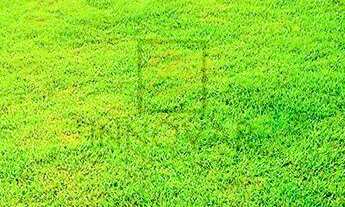 Imagem 5: Imóvel com 75m² em São Luiz, Sapiranga - Churrasqueira, Piso Laminado, Esquadrias em Alumí