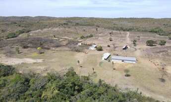 Imagem 4: Fazenda com 355 hectares Nossa Senhora da Guia (Cuiabá) - MT