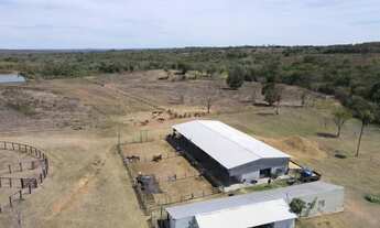 Imagem 7: Fazenda com 355 hectares Nossa Senhora da Guia (Cuiabá) - MT