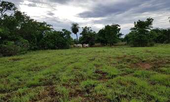 Imagem 4: Fazenda com 650 hectares em Livramento - MT