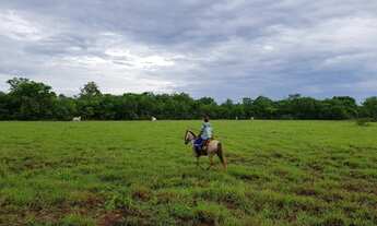 Imagem 5: Fazenda com 650 hectares em Livramento - MT