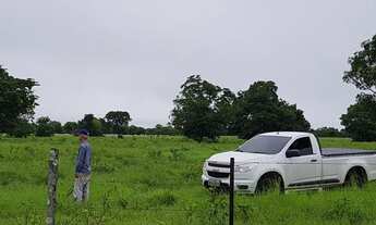 Imagem 6: Fazenda com 650 hectares em Livramento - MT