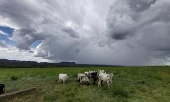 Imagem 3: Fazenda com 1610 hectares em Poxoreú - MT