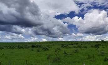 Imagem 4: Fazenda com 1610 hectares em Poxoreú - MT