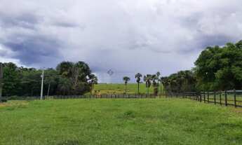 Imagem 7: Fazenda com 1610 hectares em Poxoreú - MT