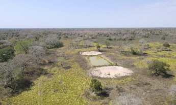 Imagem: Fazenda com 2.529 hectares no Pantanal em