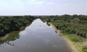 Imagem 2: Fazenda com 3190 hectares em Poconé - MT