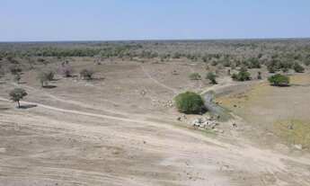 Imagem 4: Fazenda com 3190 hectares em Poconé - MT
