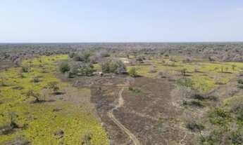 Imagem 7: Fazenda com 3190 hectares em Poconé - MT