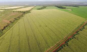 Imagem: Fazenda com 1145 hectares em Diamantino-MT