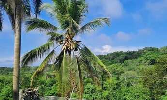 Imagem 7: Chácara com 05 hectares em Chapada dos Guimarães