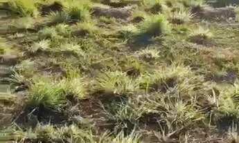 Imagem: Condomínio Villa Jardim