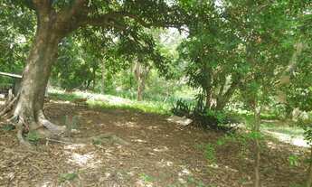 Imagem 5: Terreno na Região Central