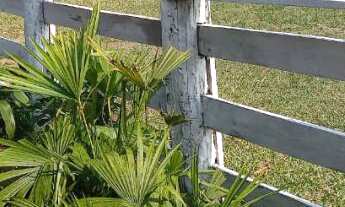 Imagem 5: Chácara em Varzea Grande - MT