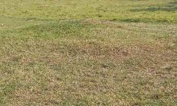 Imagem 6: Chácara em Varzea Grande - MT