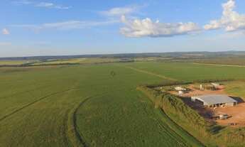 Imagem: Fazenda em Primavera do Leste - MT