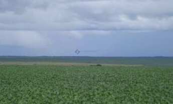 Imagem: Fazenda em Primavera do Leste- MT